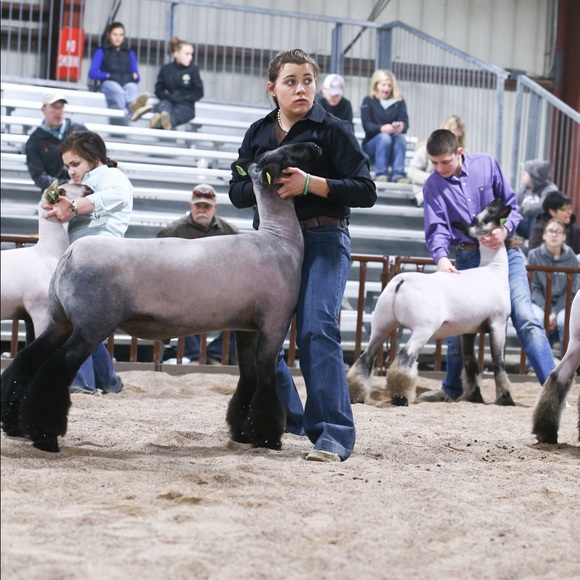 Meet your Posher, Chloe - Picture 1 of 1